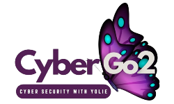 Cybergo2